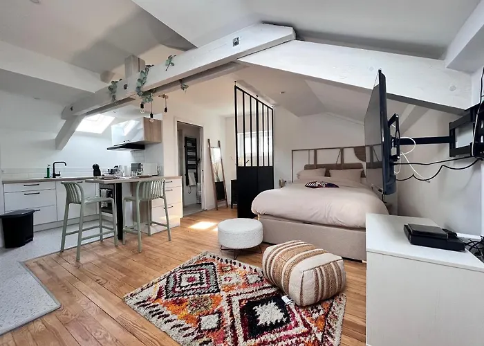 Superbe Plein De Charme Proche Du Centre Tonnet * Clermont-Ferrand